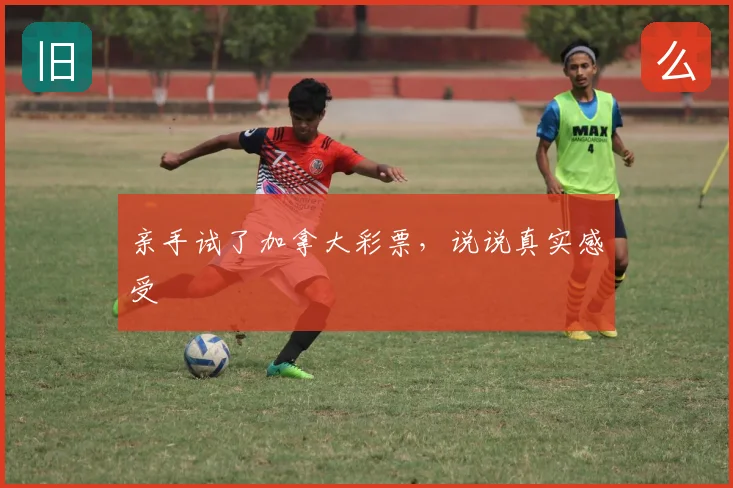 亲手试了加拿大彩票，说说真实感受